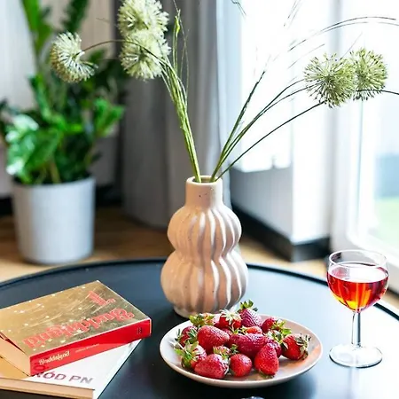 Appartement Nowy, Elegancki W Okolicy Pge Narodowy Varsovie